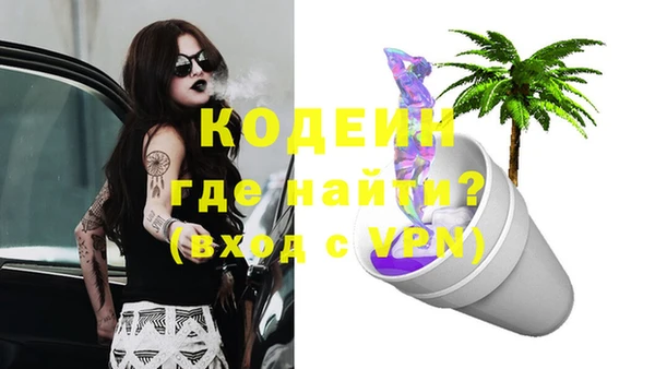 спиды Костерёво